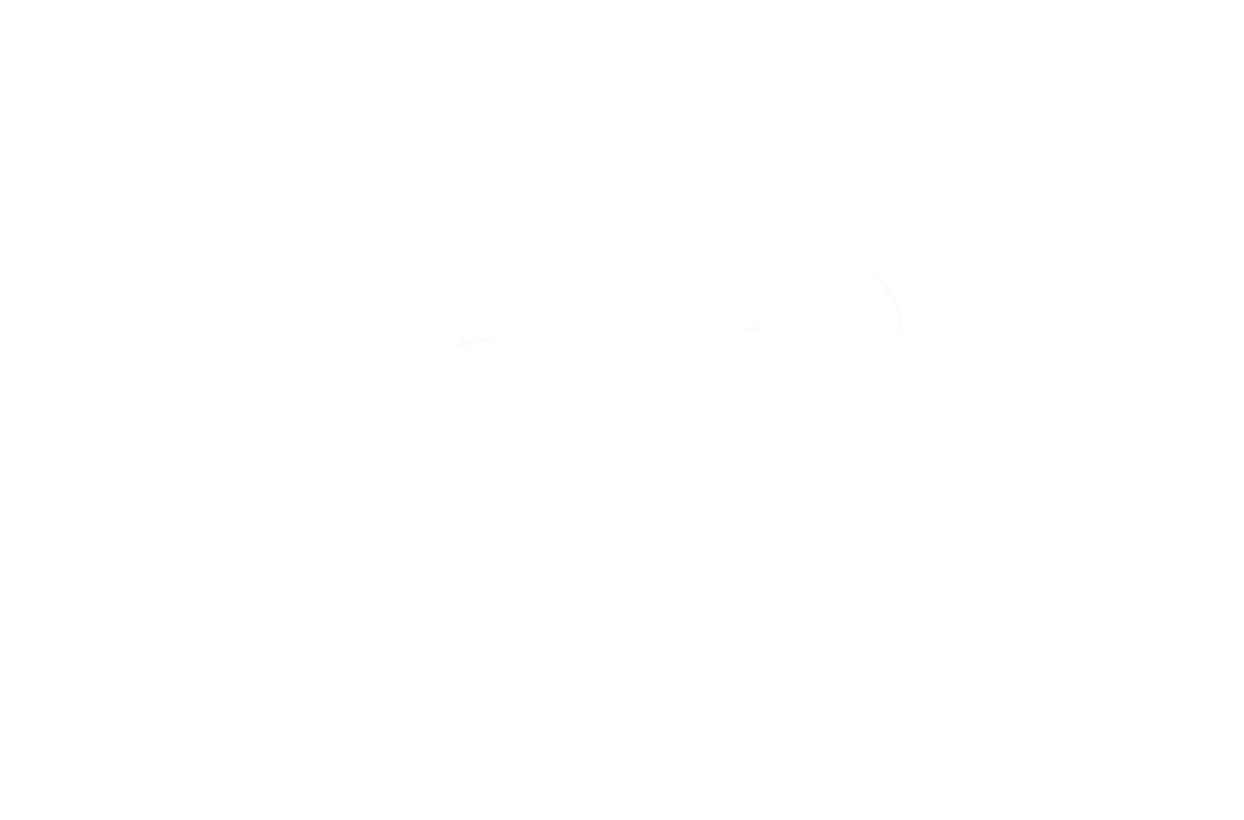 WSD