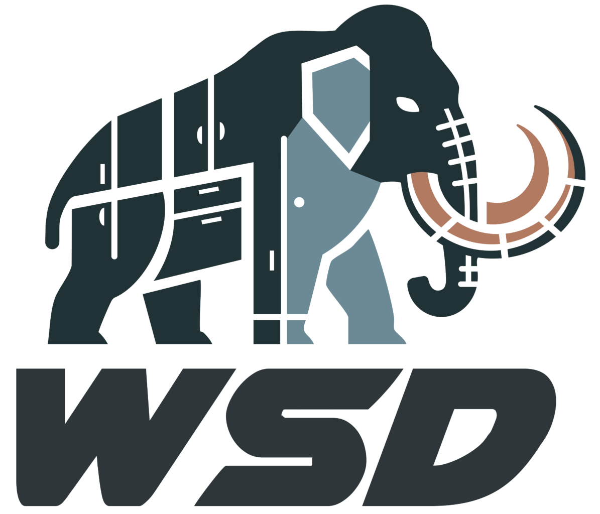 WSD